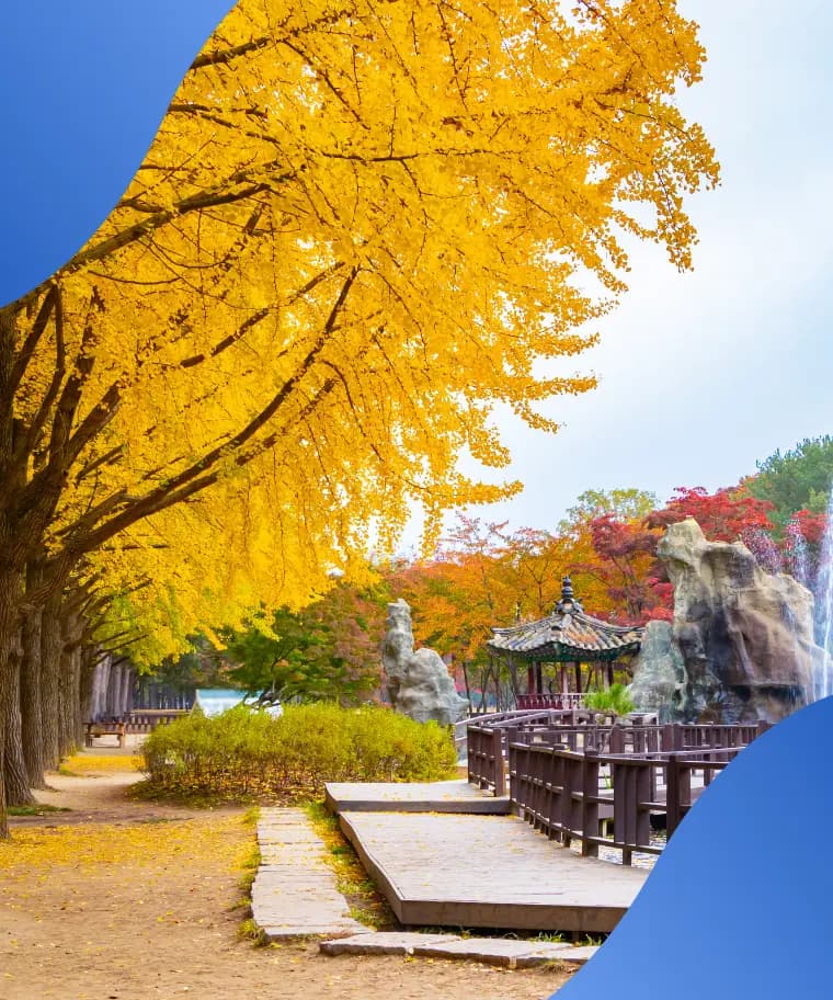 KOREA 5D4N | NAMI ISLAND • EVERLAND • SEOUL JOURNEY